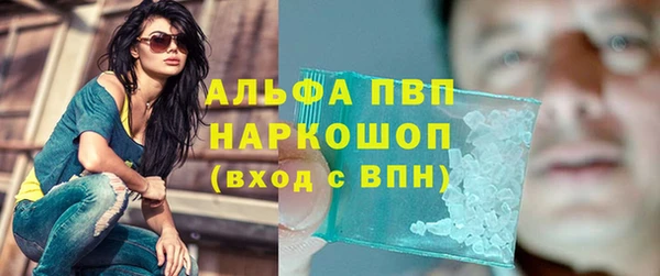 прущие грибы Нязепетровск