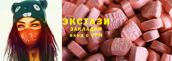 гашик Няндома