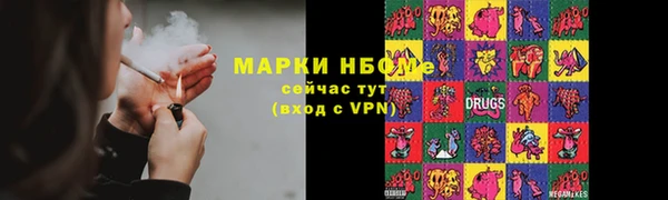 прущие грибы Нязепетровск