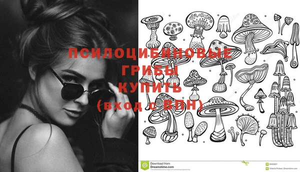 гашик Няндома