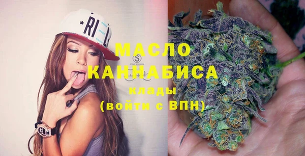 гидра Болотное