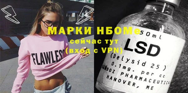 гашик Няндома