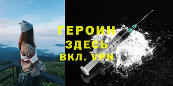 гашик Няндома
