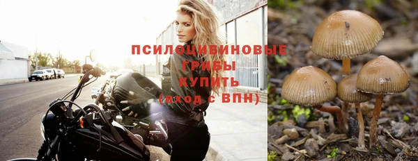прущие грибы Нязепетровск