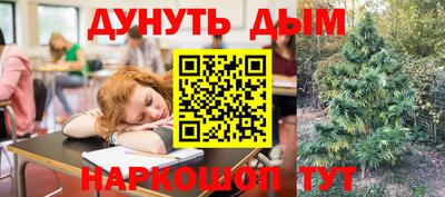 стафф Бийск
