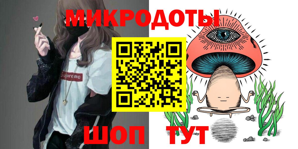 Гурьевск  Псилоцибиновые грибы мицелий  Вход с VPN  Псилоцибиновые грибы Psilocybe 