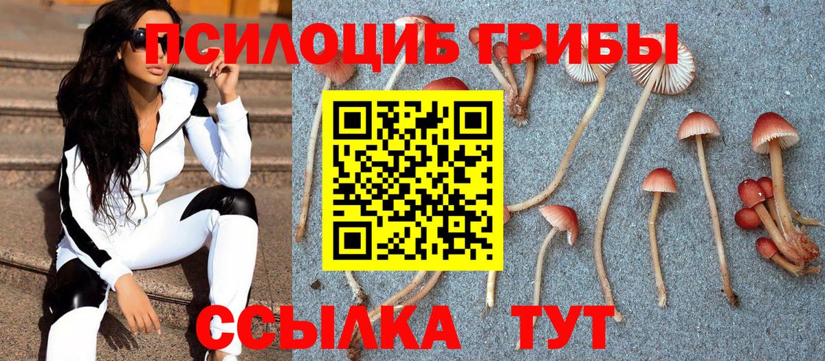 Галлюциногенные грибы GOLDEN TEACHER  Гурьевск  Псилоцибиновые грибы Magic Shrooms 