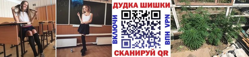 Конопля гибрид  Гурьевск 