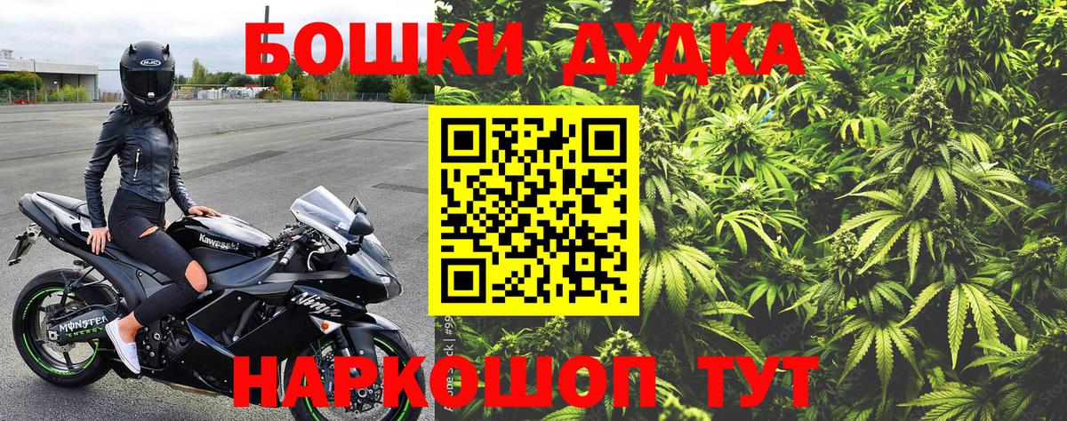 Конопля White Widow  Бошки марихуана White Widow  Гурьевск  Шишки марихуана конопля  Бошки марихуана план 
